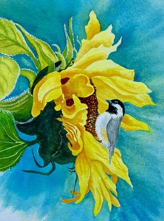 Chickadee on Sunflower